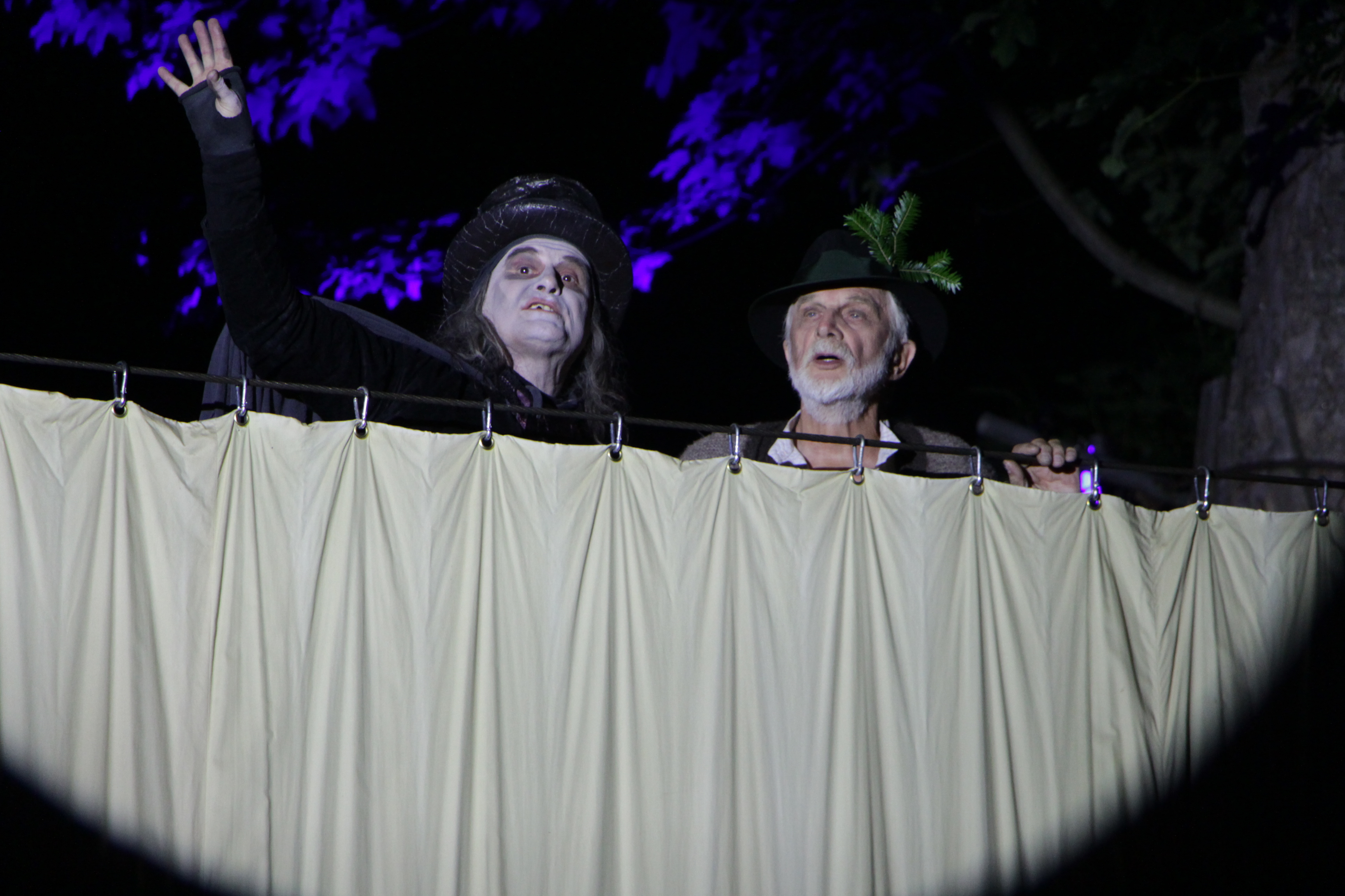 Blick in den Himmel.